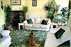 Cornwall Tourism Magazine - Doggy holidays in Cornwall - Polurrian Bay Hotel - Copyright - Ed Stone Web Design